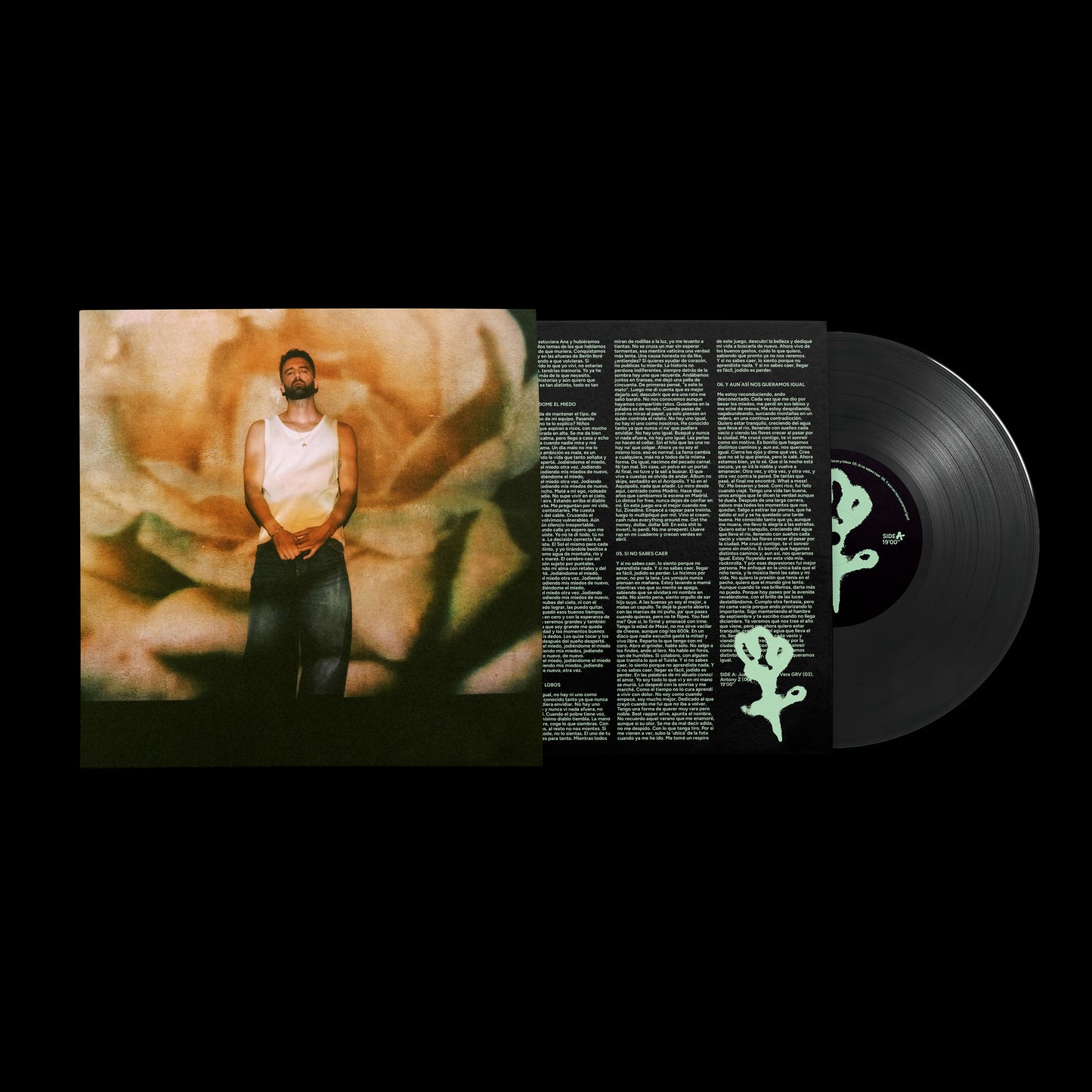 VINILO CSV